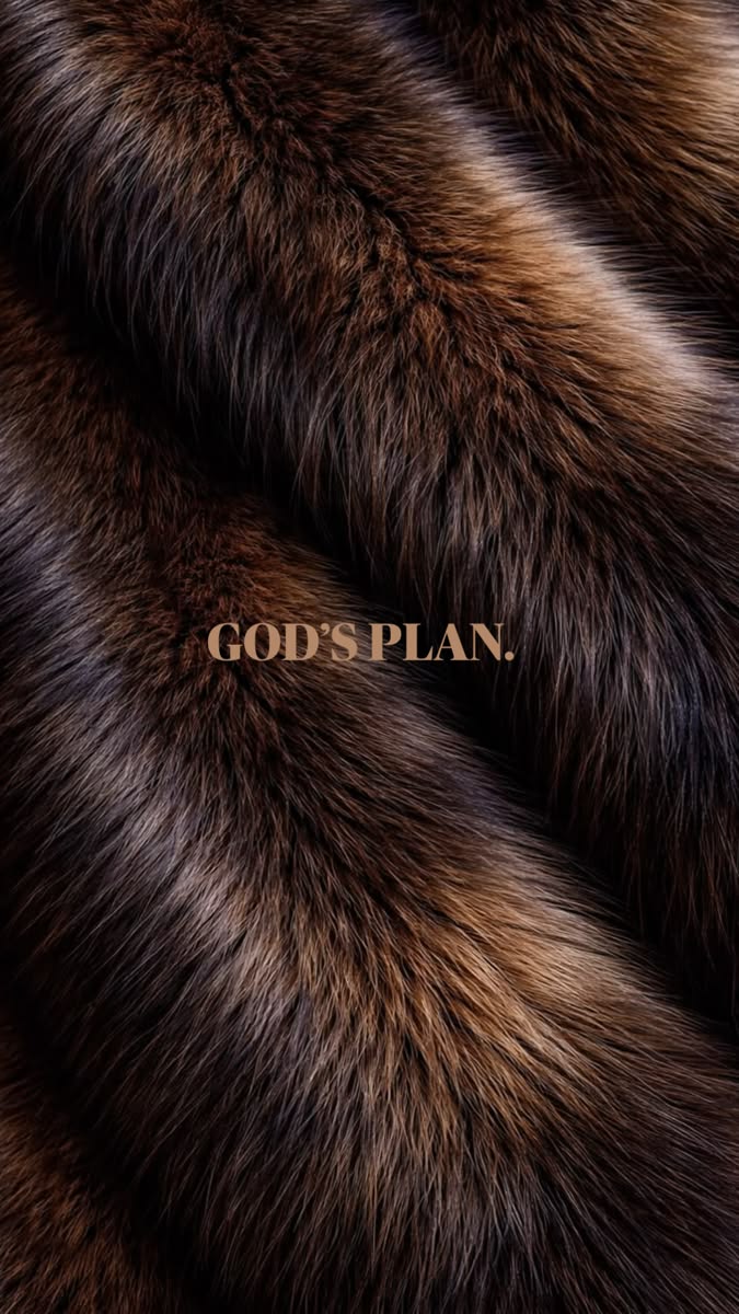 God’s Plan – Fur Statement - Luxury metal wall art plate