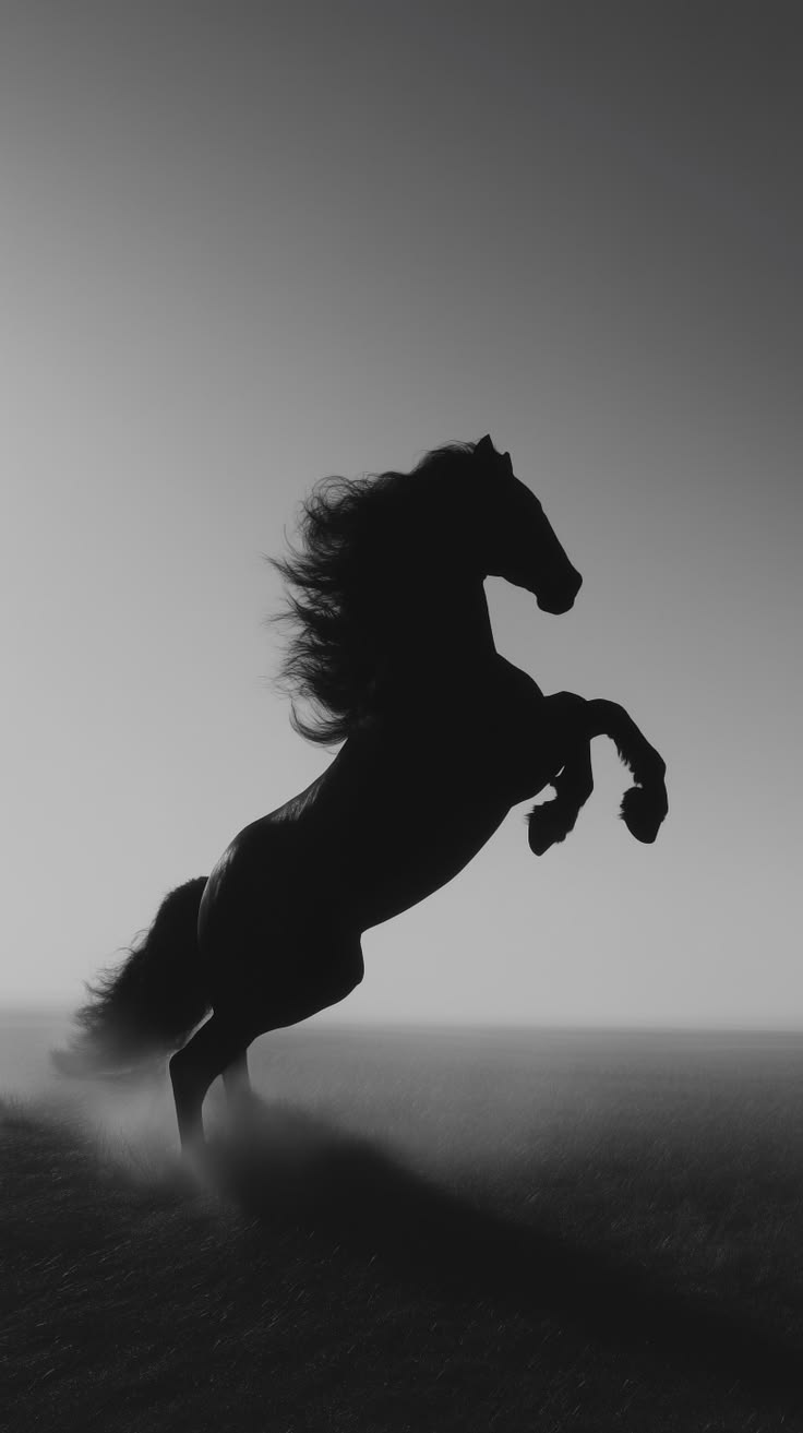 Wild Horse Silhouette - Animals/Nature metal wall art plate
