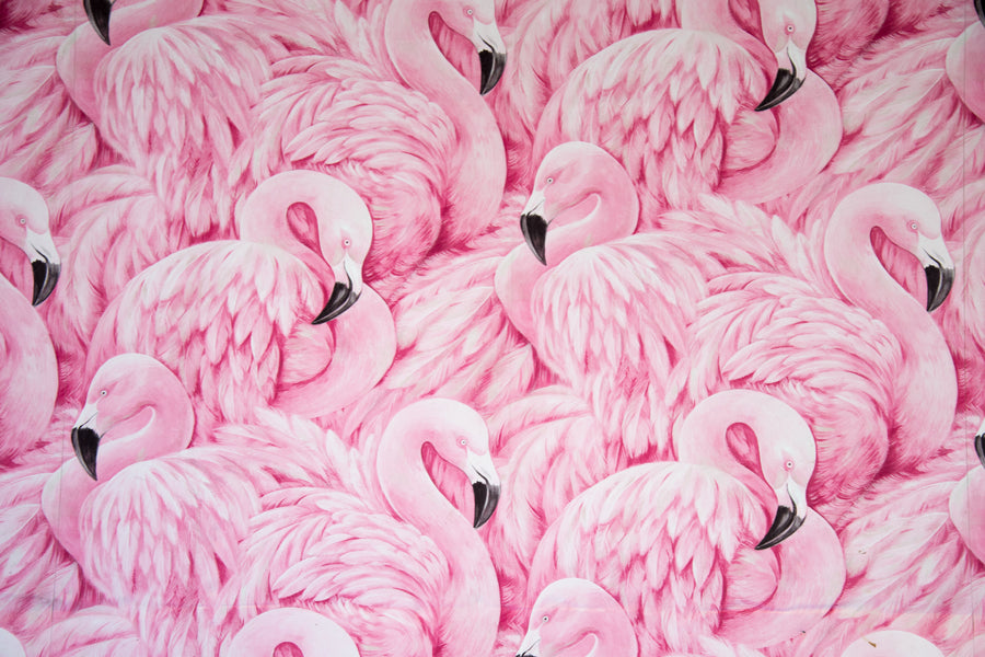 Flamingo Blush - Animals/Nature metal wall art plate