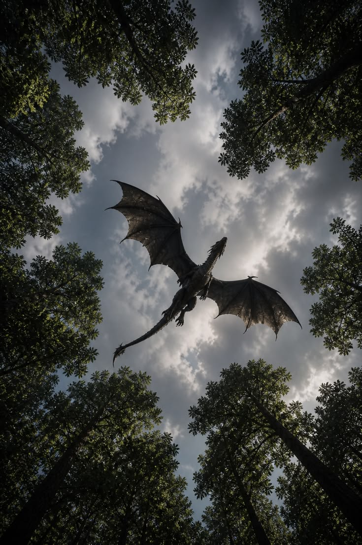 Dragon Above the Ancient Woods - Fantasy metal wall art plate