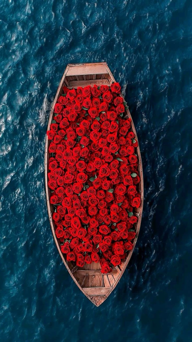 The Rose Boat - Animals/Nature metal wall art plate