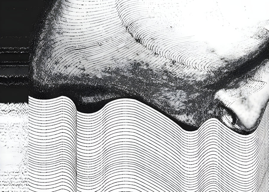 Line Face - a face dissolving into a field of fine wavy lines, half portrait and half pattern, on a metal wall art plate