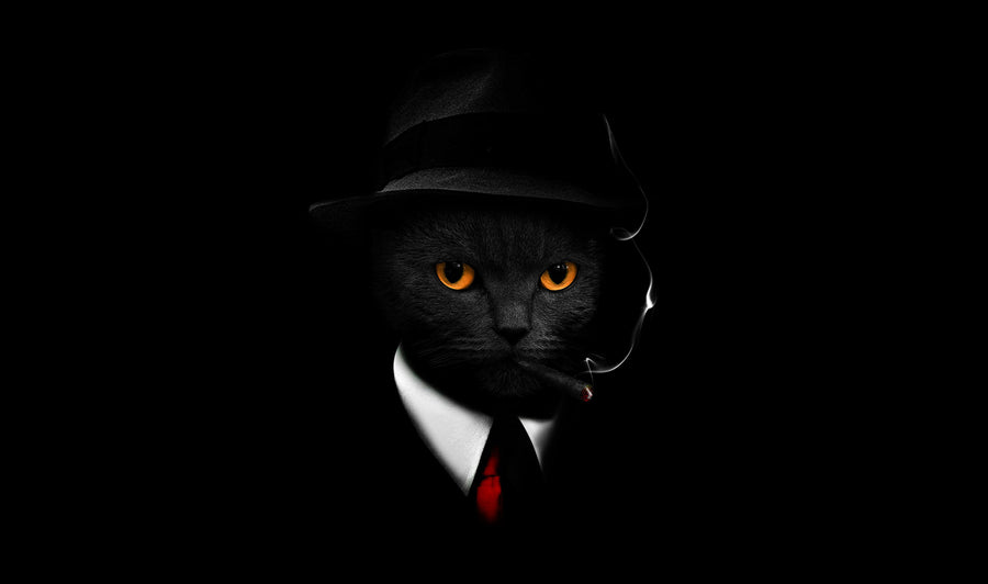 The Family Cat - a black cat in a black suit, hat and red tie, lit out of the dark, on a metal wall art plate