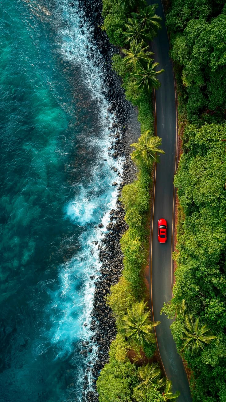 Coastal Road From Above - Animals/Nature metal wall art plate