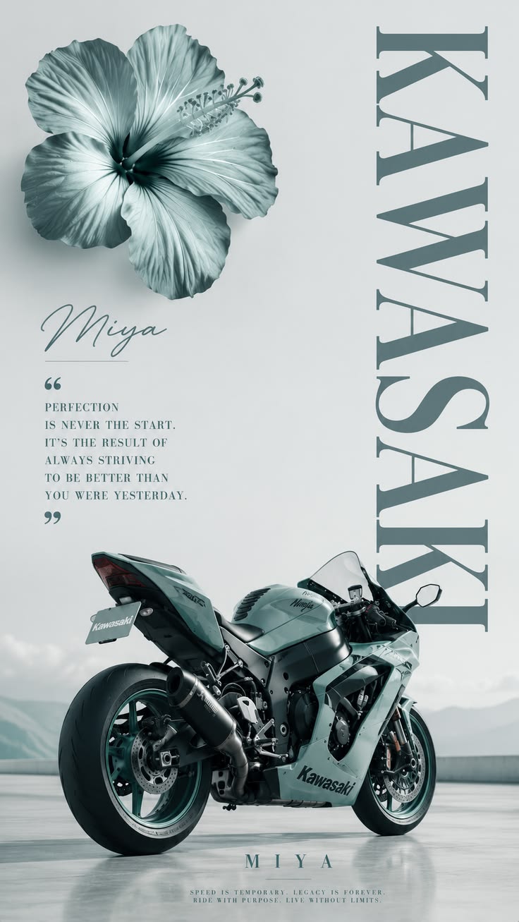 Kawasaki Ninja – Built Beyond Limits - Automotive metal wall art plate