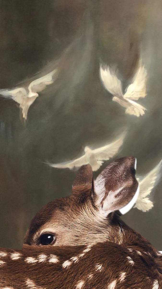 Fawn Beneath the Doves - Animals/Nature metal wall art plate