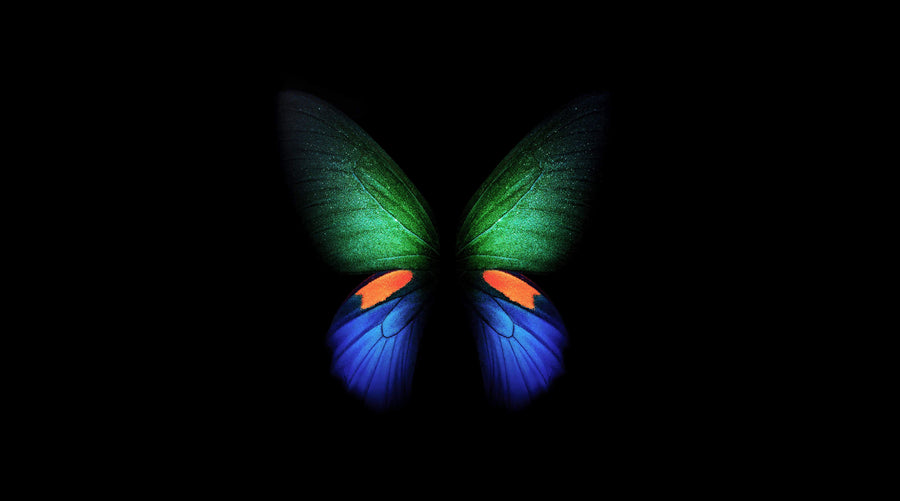 Emerald Sapphire Butterfly - Animals/Nature metal wall art plate