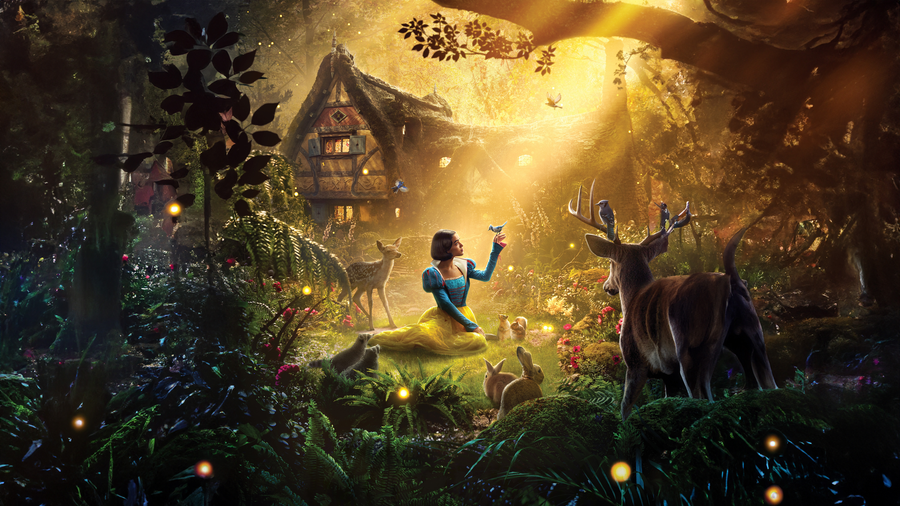 Enchanted Forest Princess - Fantasy metal wall art plate
