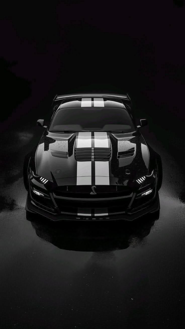 Ford Mustang Shelby GT500 – Racing Stripes - Automotive metal wall art plate