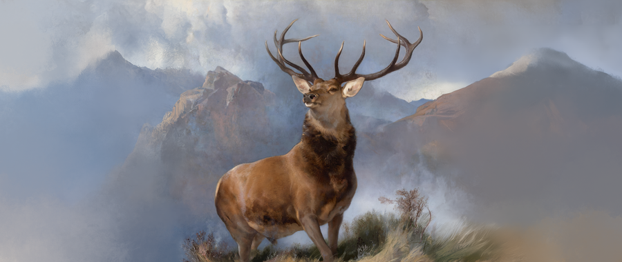 Highland Stag - Animals/Nature metal wall art plate