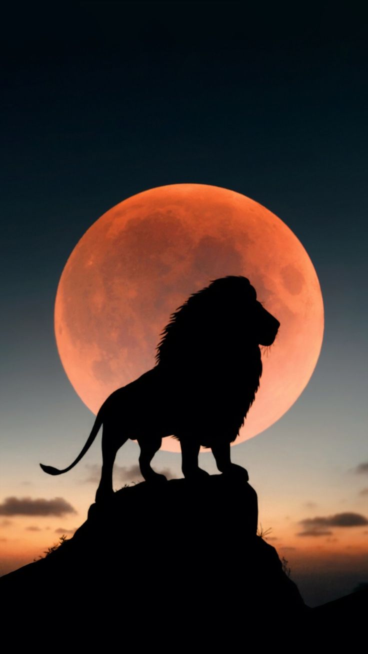 Lion Beneath the Blood Moon