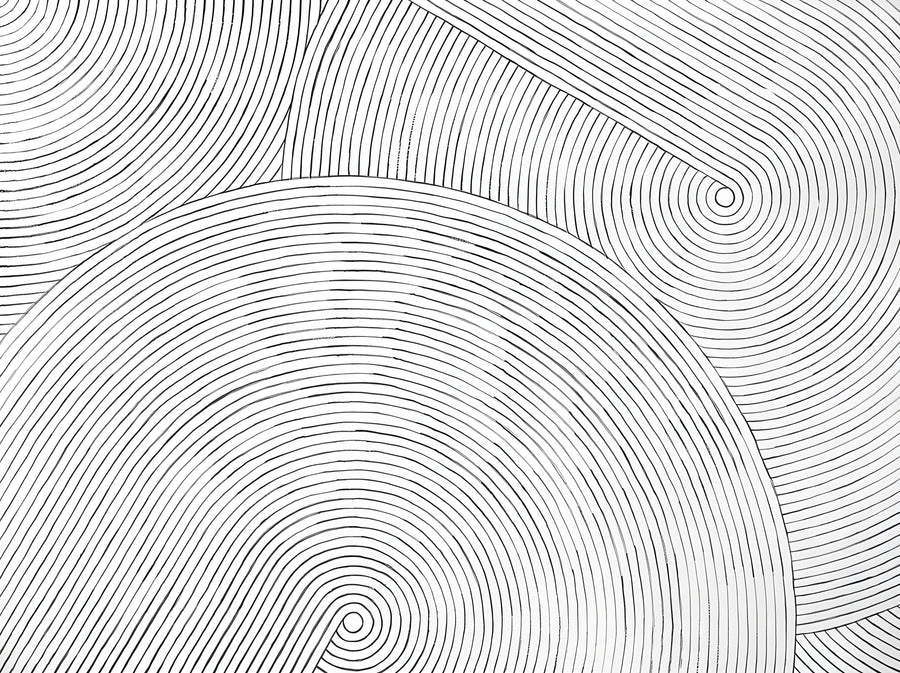 Contour Lines - fine concentric lines running like contours across a flat white field, on a metal wall art plate