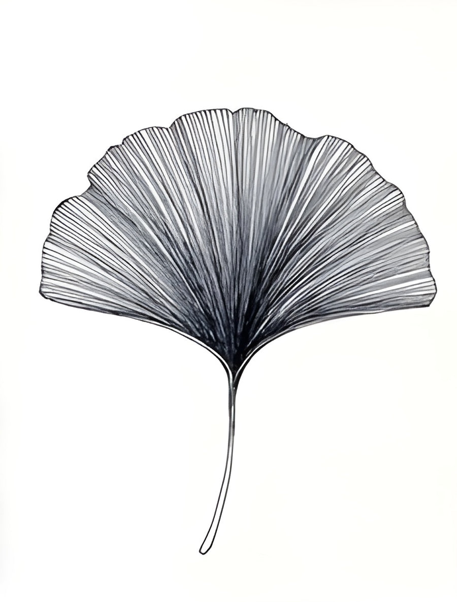 Ginkgo - a ginkgo leaf drawn in fine radiating lines on white, on a metal wall art plate