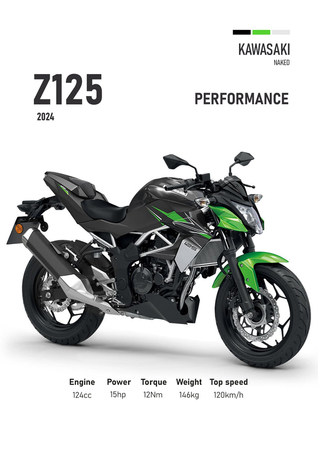 Kawasaki Z125 – Performance - the 2024 Kawasaki Z125 in black and green, drawn in profile against a clean white ground with, on a metal wall art plate