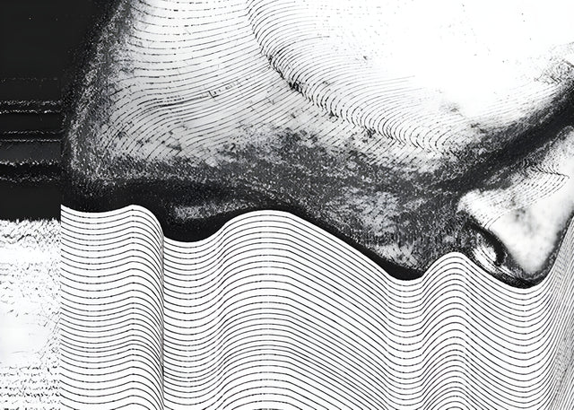 Line Face - a face dissolving into a field of fine wavy lines, half portrait and half pattern, on a metal wall art plate