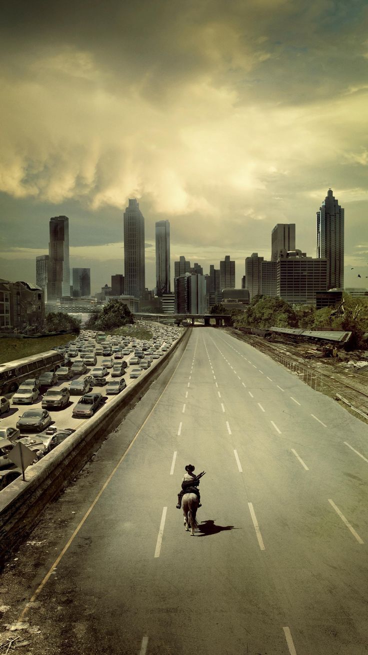 The Walking Dead - Movies/Shows metal wall art plate
