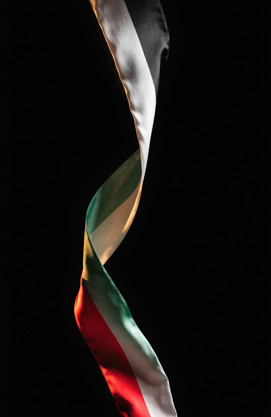 A ribbon of silk in Palestinian black, white, green and red turns through the dark in a single long curve