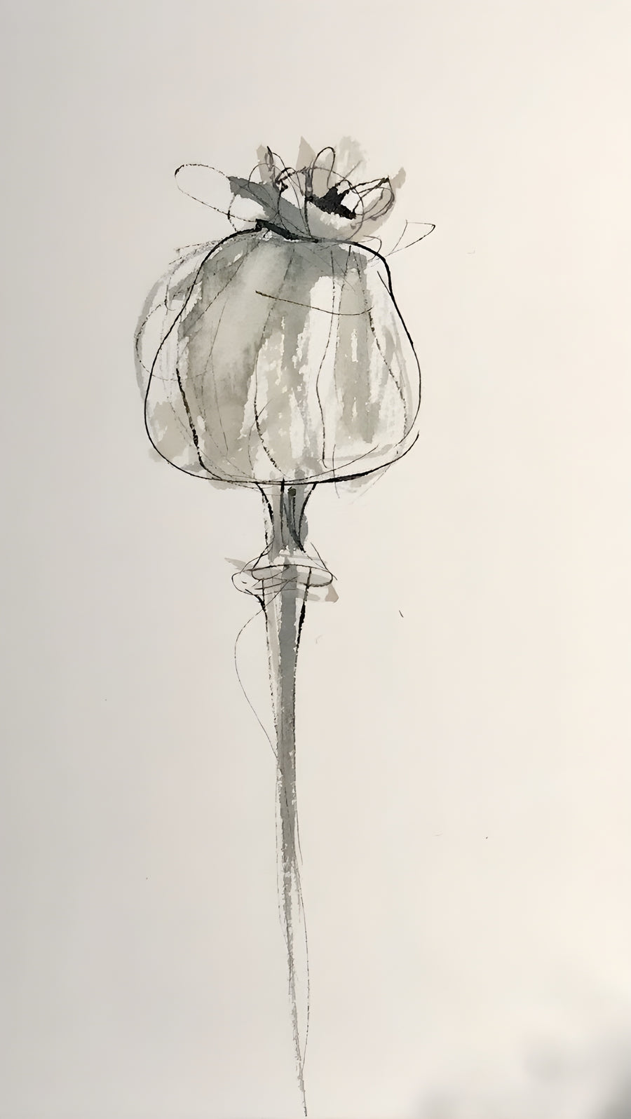 Poppy Head - a single poppy seed head in grey wash on a long thin stem, on a metal wall art plate