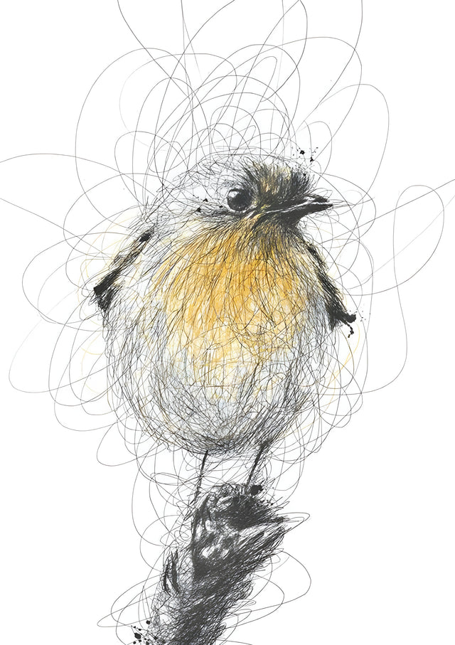 Scribbled Robin - a robin drawn in a nest of loose scribble, the breast filled in ochre, on a metal wall art plate