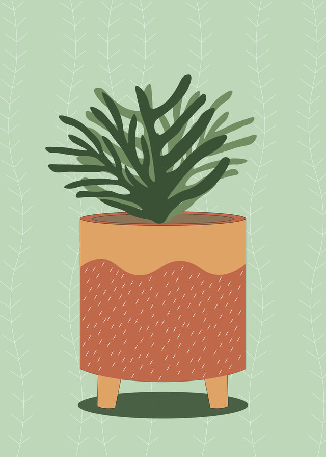 Terracotta Planter - a graphic leafy plant rises from a terracotta and ochre planter against a soft green patterned background, on a metal wall art plate
