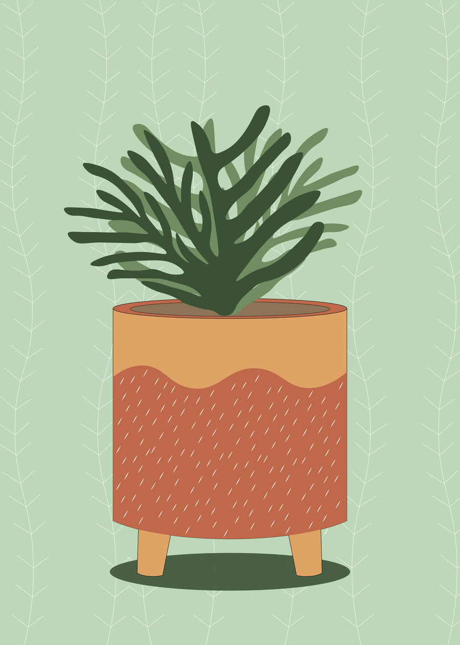 Terracotta Planter - a graphic leafy plant rises from a terracotta and ochre planter against a soft green patterned background, on a metal wall art plate