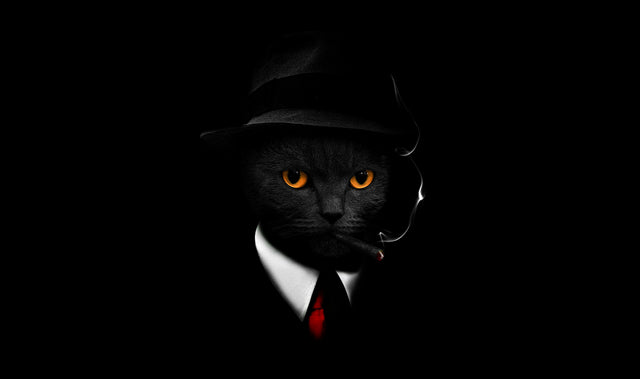 The Family Cat - a black cat in a black suit, hat and red tie, lit out of the dark, on a metal wall art plate